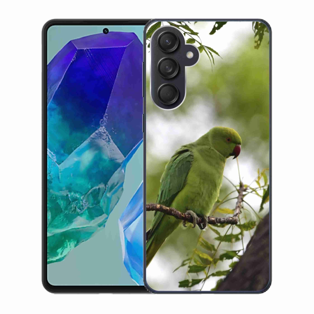 Zselés borítás mmCase Samsung Galaxy M55 5G - zöld papagájhoz