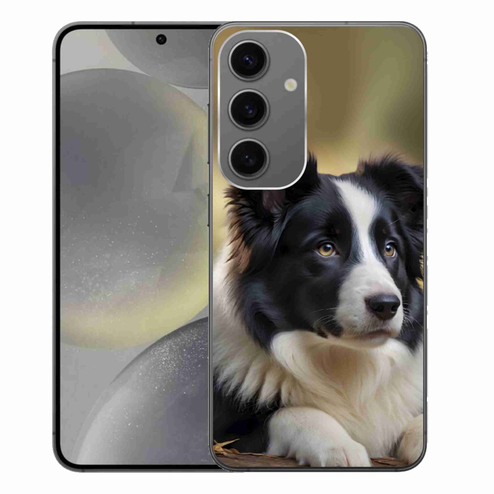 Zselés borítás mmCase Samsung Galaxy S24+ - border colie 2