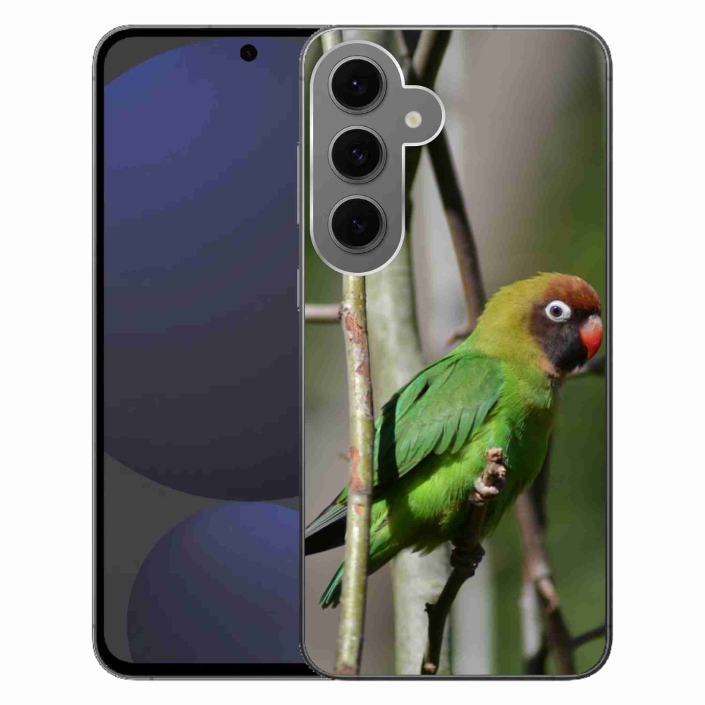 Gél borítás mmCase Samsung Galaxy S24 FE készülékhez - papagáj agapornis