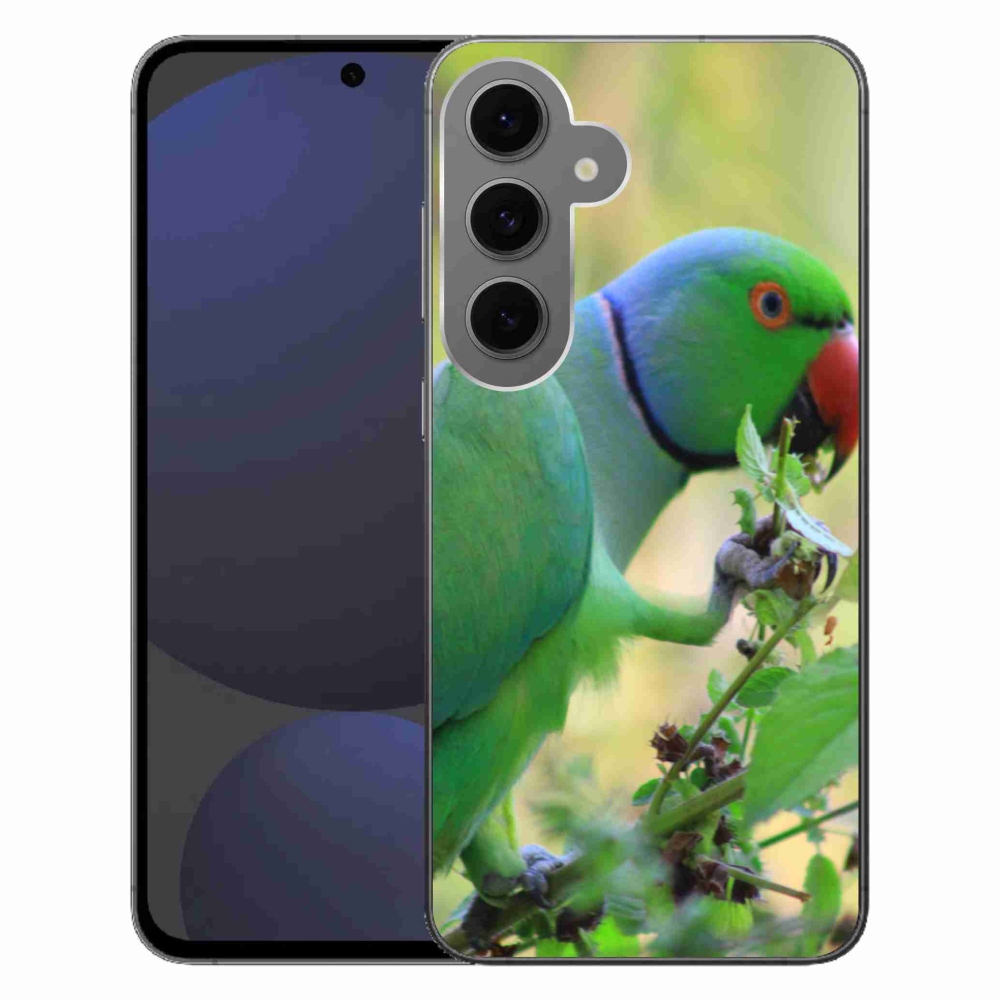 Gél borítás mmCase Samsung Galaxy S24 FE készülékhez - papagáj alexandr