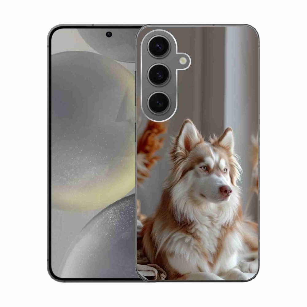 Gél borítás mmCase Samsung Galaxy S24 készülékhez - csendes szibériai husky