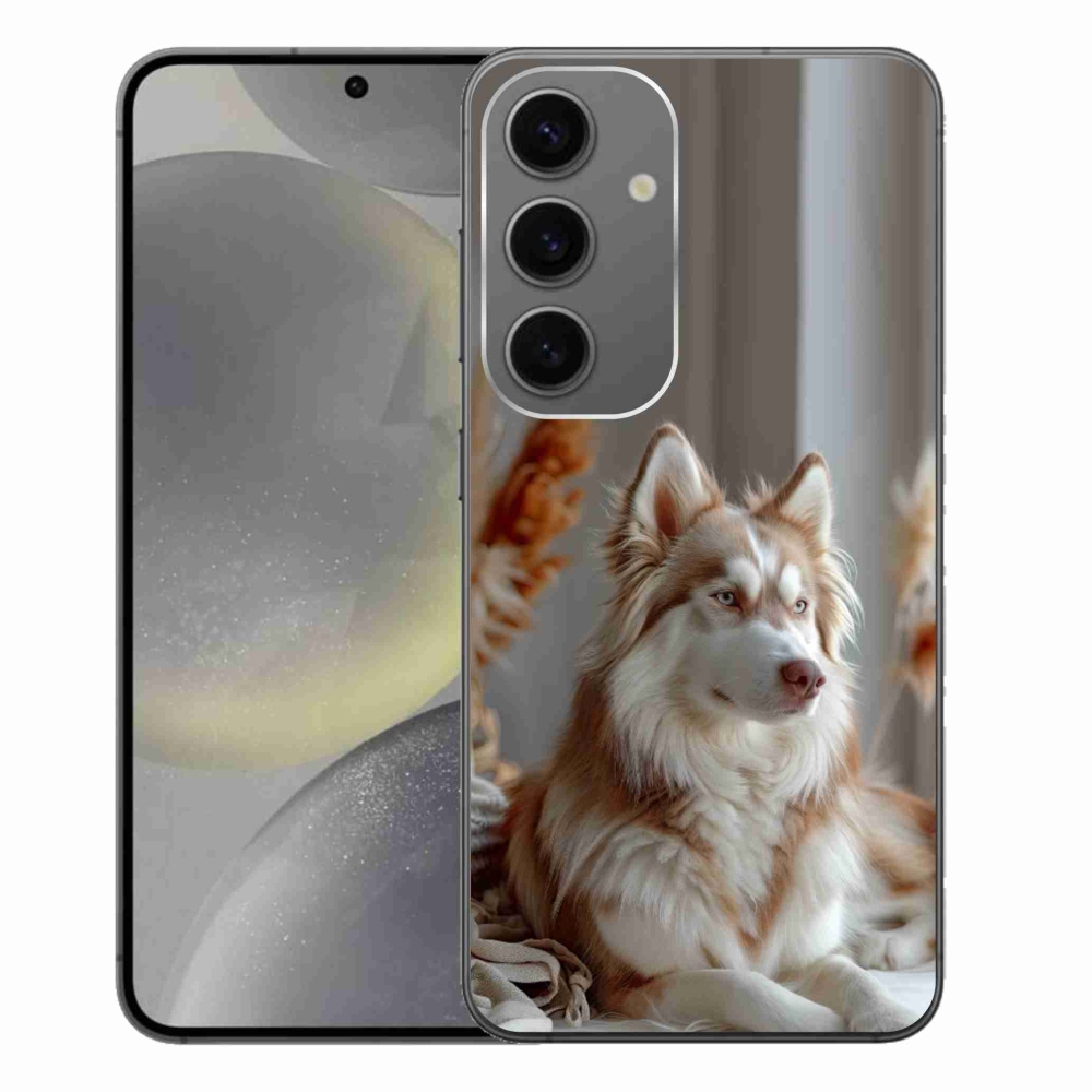 Gél borítás mmCase Samsung Galaxy S24+ - csendes szibériai huskyhoz