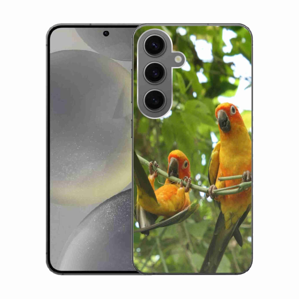 Gél borítás mmCase Samsung Galaxy S24 készülékhez - papagájok aratingy