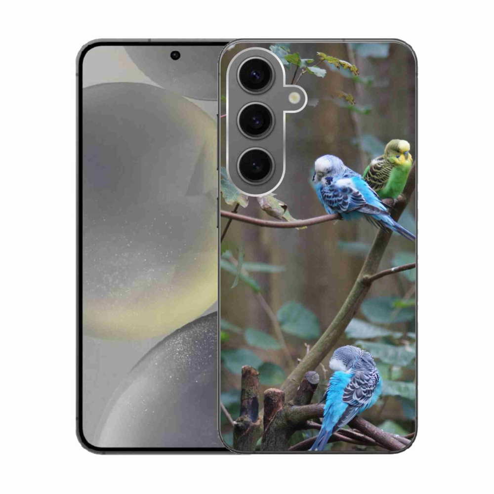 Zselés borító mmCase Samsung Galaxy S24 készülékhez - papagájok az ágon