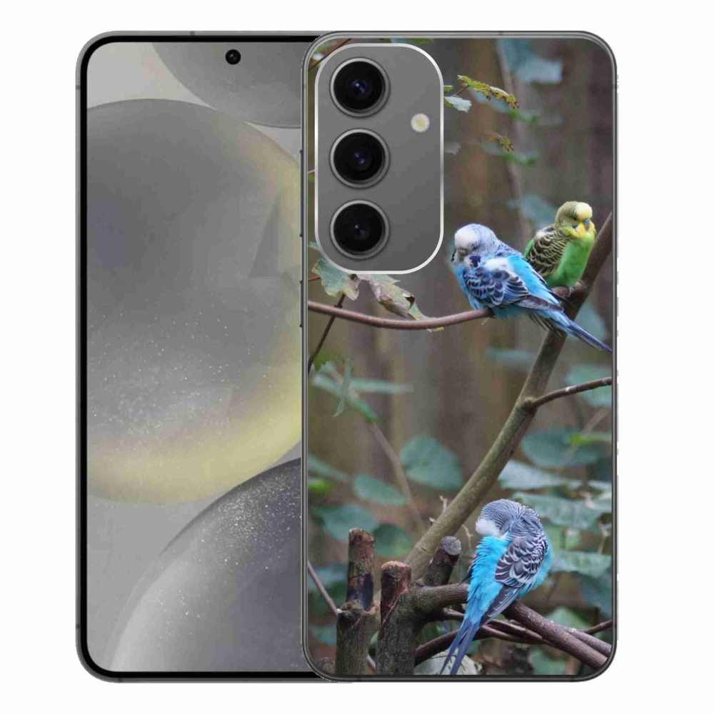 Zselés borítás mmCase Samsung Galaxy S24+ készülékhez - papagájok az ágon