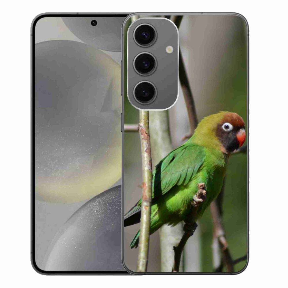 Gél borítás mmCase Samsung Galaxy S24+ készülékhez - papagáj agapornis