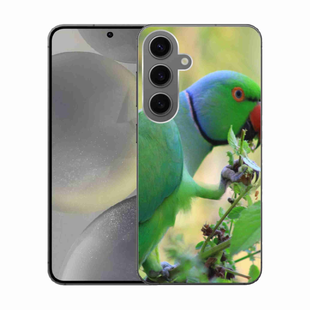 Gél borítás mmCase Samsung Galaxy S24 készülékhez - papagáj alexandr