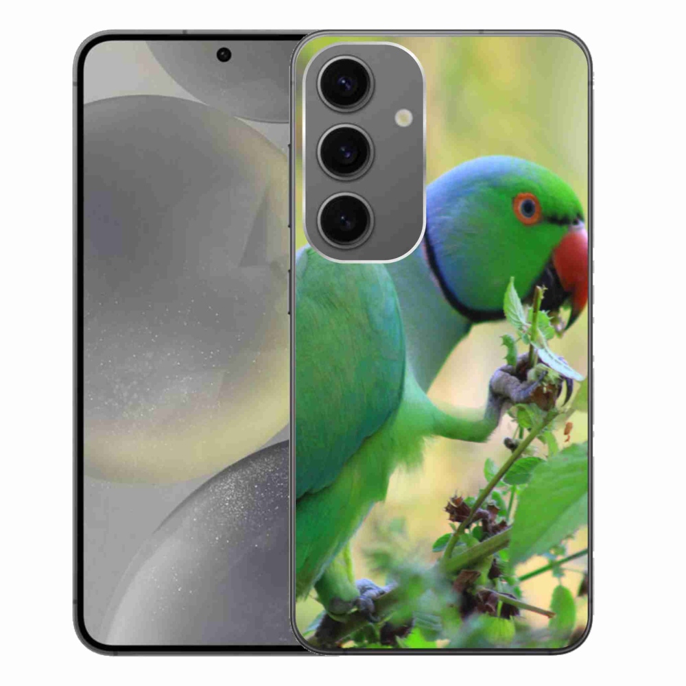 Gél borítás mmCase Samsung Galaxy S24+ készülékhez - papagáj alexandr