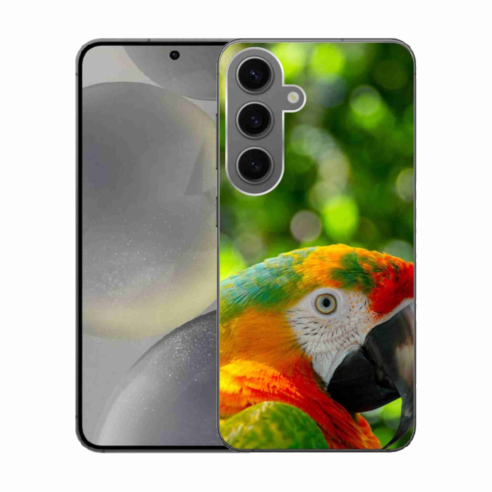 Gél borítás mmCase Samsung Galaxy S24 készülékhez - papagáj ara 3