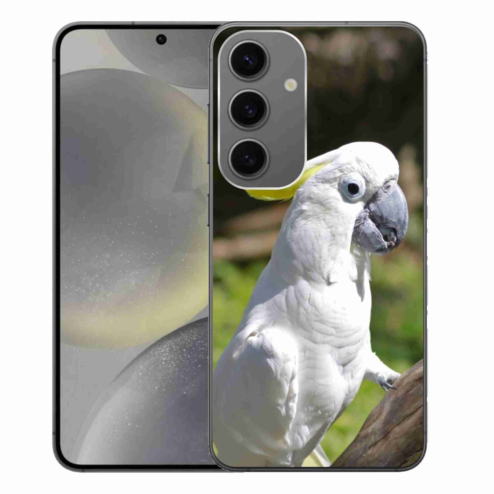 Gél borítás mmCase Samsung Galaxy S24+ készülékhez - papagáj kakadu 2