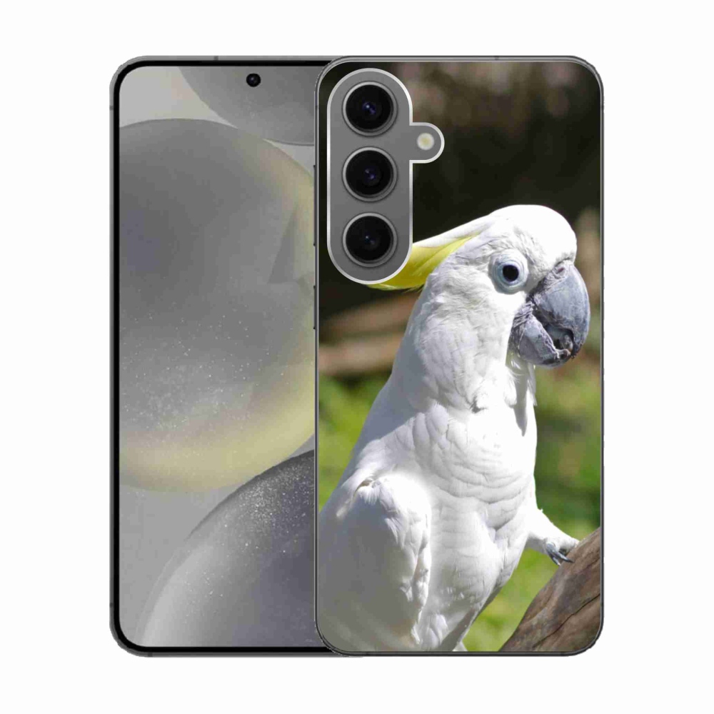 Gél borítás mmCase Samsung Galaxy S24 készülékhez - papagáj kakadu 2