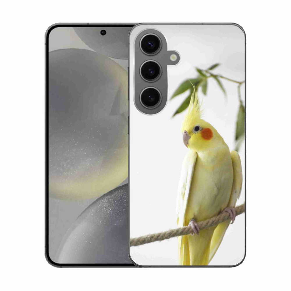 Gél borítás mmCase Samsung Galaxy S24 - papagáj korela chocholatá