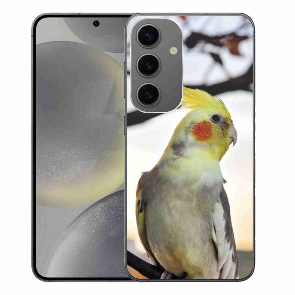 Gél borítás mmCase Samsung Galaxy S24+ készülékhez - papagáj korela