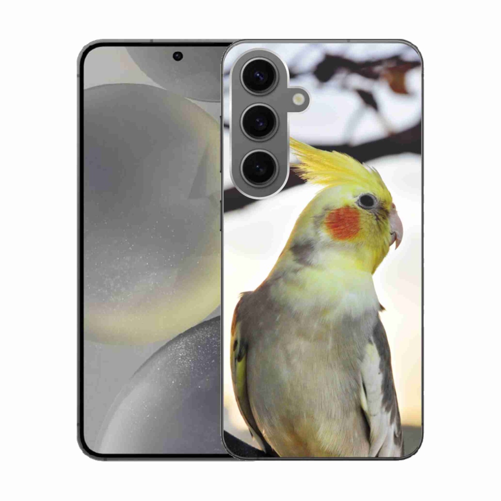 Zselés borítás mmCase Samsung Galaxy S24 készülékhez - papagáj korela