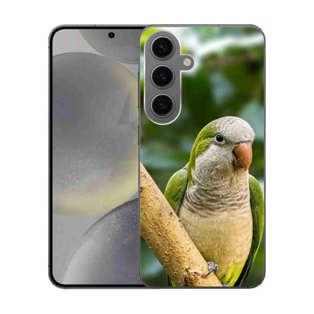 Zselés borítás mmCase Samsung Galaxy S24 készülékhez - papagáj