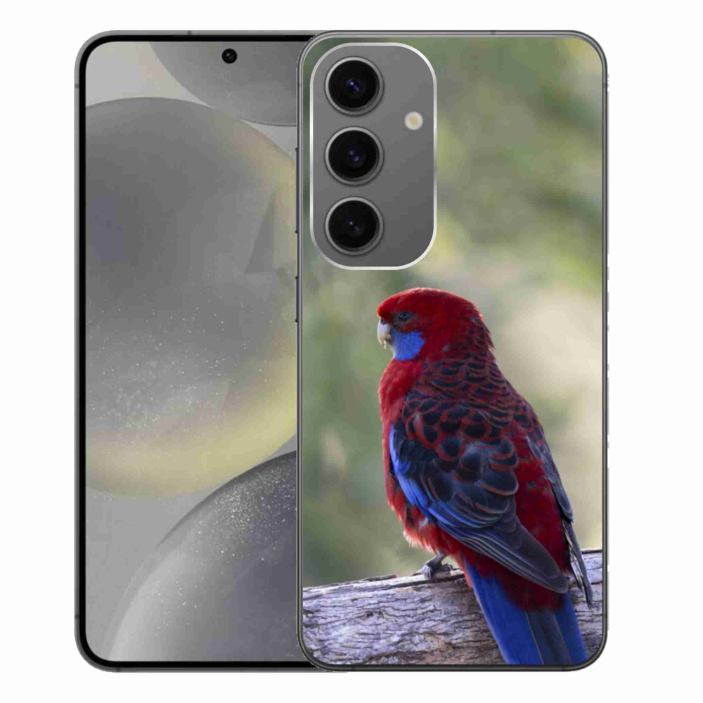 Zselés borítás mmCase Samsung Galaxy S24+ készülékhez - papagáj rosela