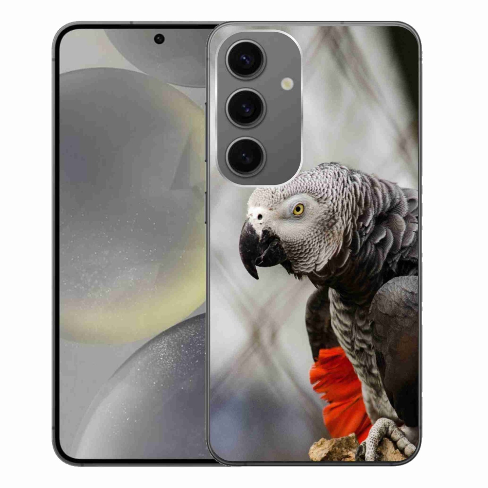 Zselés borítás mmCase Samsung Galaxy S24+ készülékhez - papagáj jacko 3