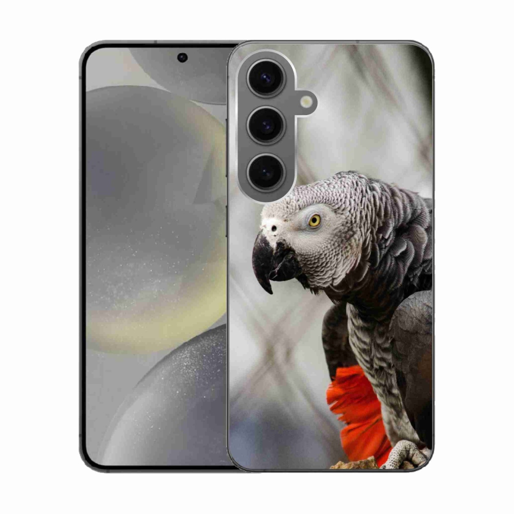 Zselés borítás mmCase Samsung Galaxy S24 készülékhez - papagáj jacko 3