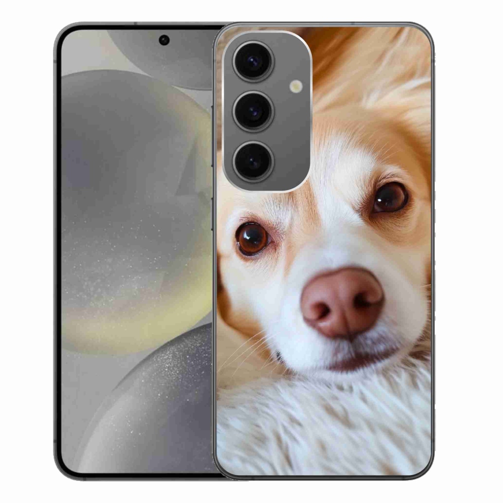 Zselés borítás mmCase Samsung Galaxy S24+ készülékhez - Aranyos csivava