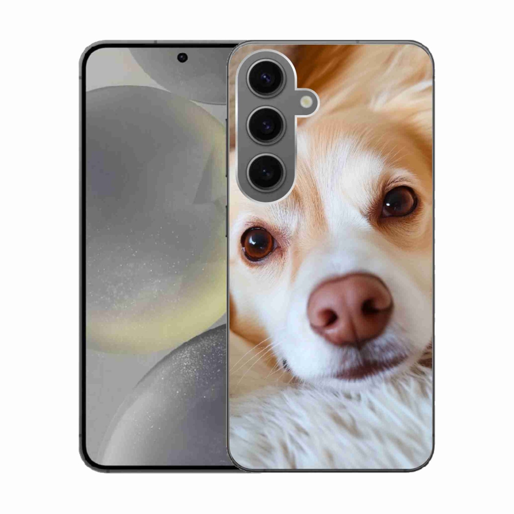 Gél borítás mmCase Samsung Galaxy S24 készülékhez - Aranyos csivava