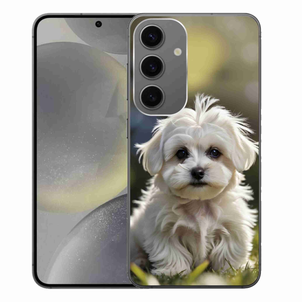 Gél borítás mmCase Samsung Galaxy S24+ készülékhez - aranyos máltai kutya