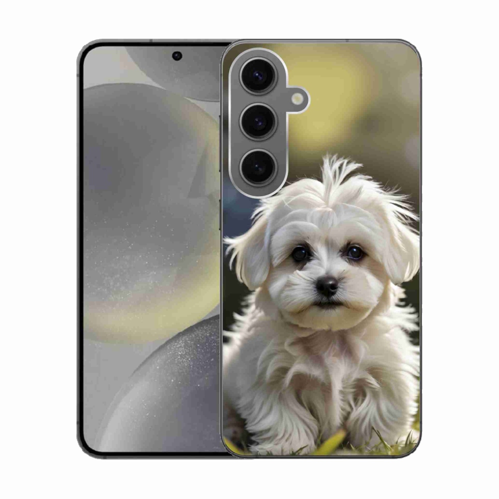 Gél borítás mmCase Samsung Galaxy S24 készülékhez - aranyos máltai kutya