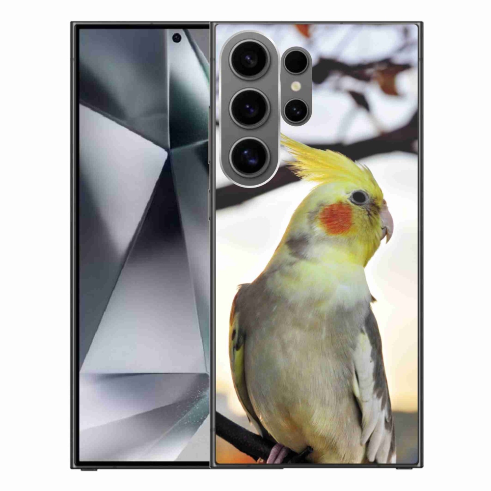 Gél borítás mmCase Samsung Galaxy S24 Ultra készülékhez - papagáj korela