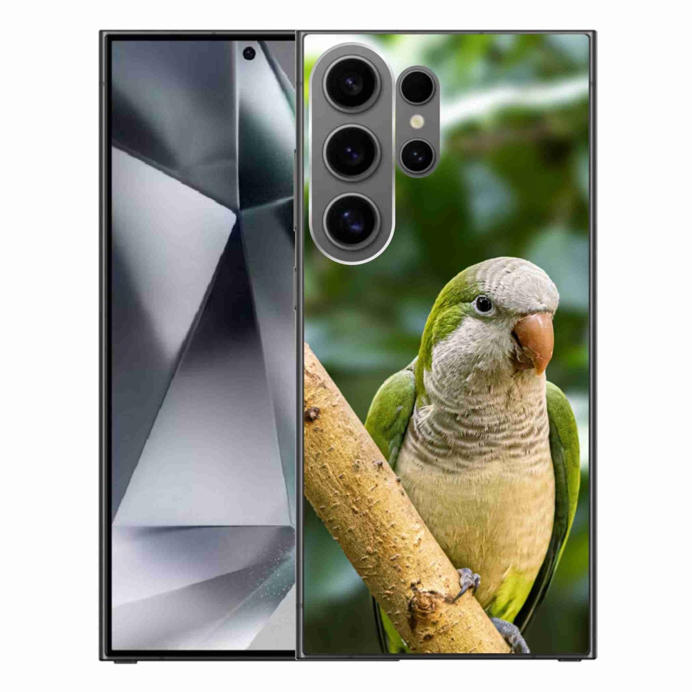 Zselés borító mmCase Samsung Galaxy S24 Ultra készülékhez - papagáj