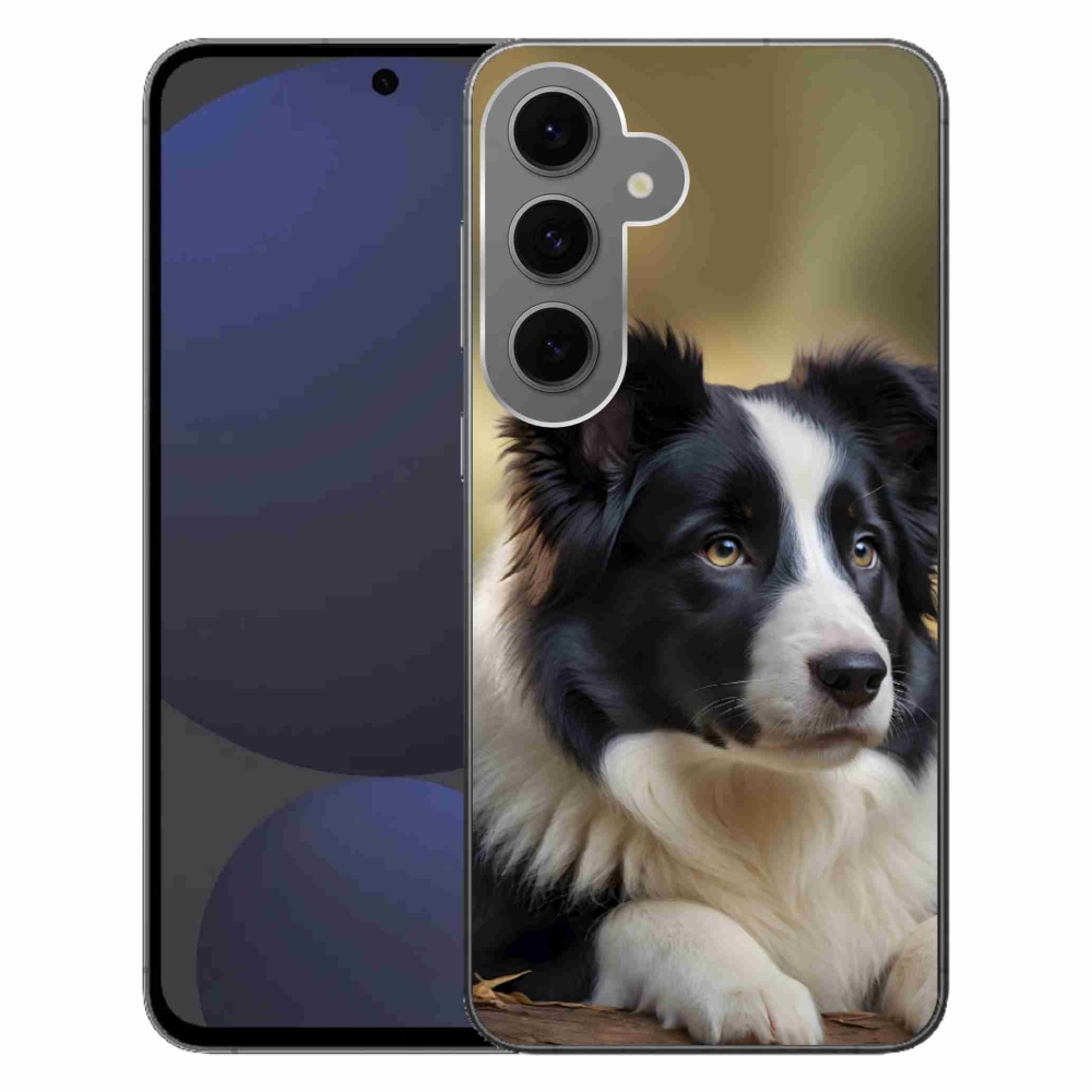 Gél borítás mmCase Samsung Galaxy S24FE - border colie 2