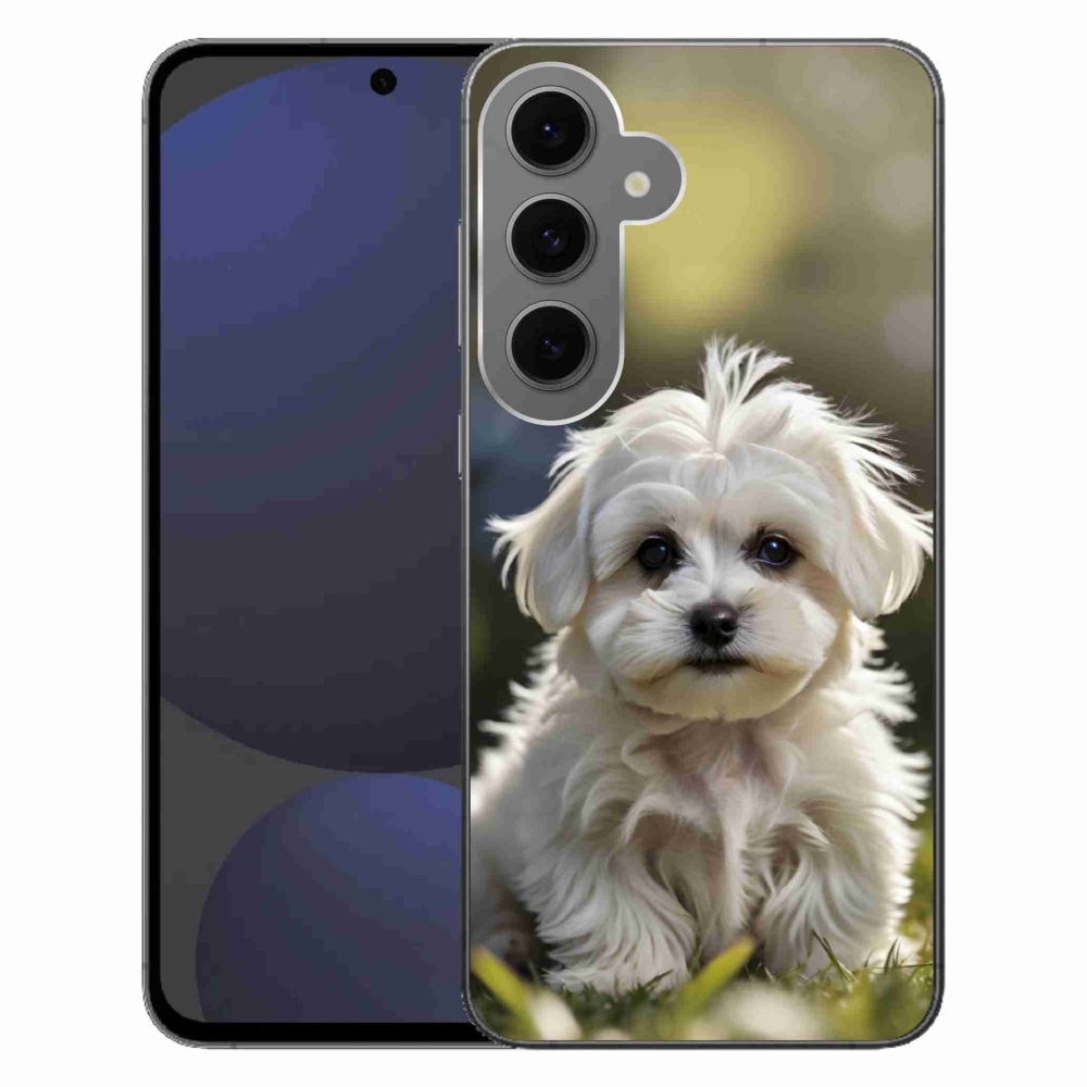 Gél borítás mmCase Samsung Galaxy S24FE - aranyos máltai kutya