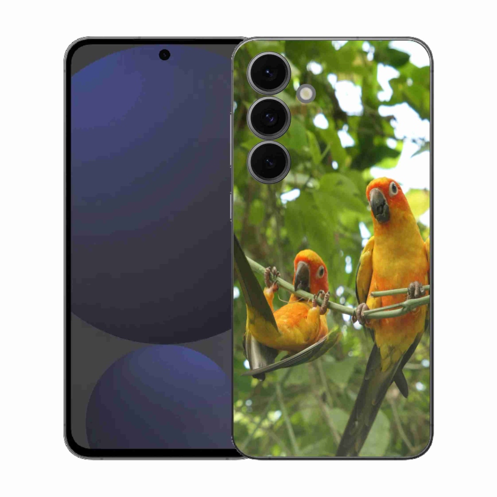 Gél borítás mmCase Samsung Galaxy S25 FE készülékhez - papagájok aratingy
