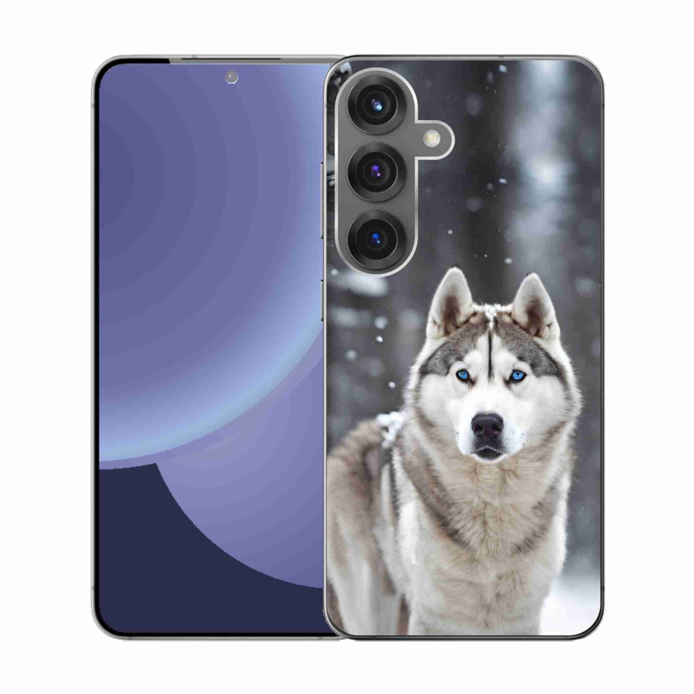 Gél borítás mmCase Samsung Galaxy S25 - husky 2 - Samsung Galaxy S25 - husky 2