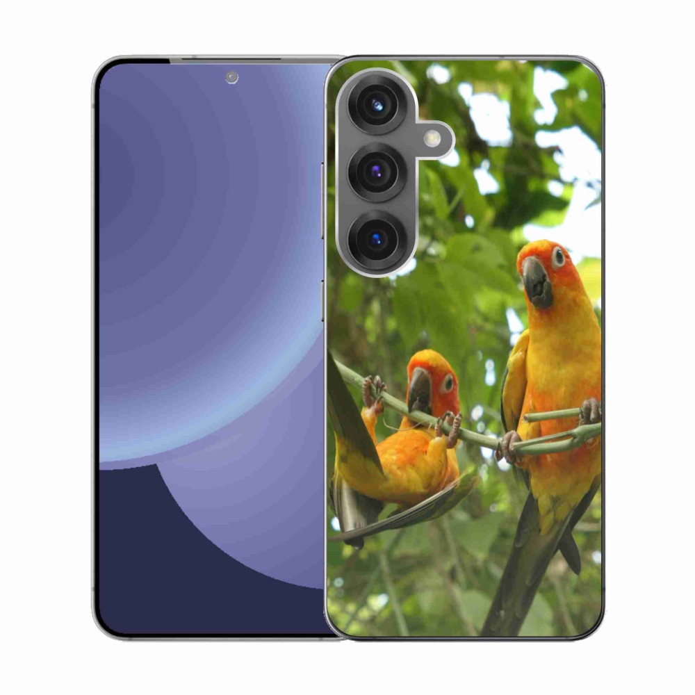 Gél borítás mmCase Samsung Galaxy S25 készülékhez - papagájok aratingy