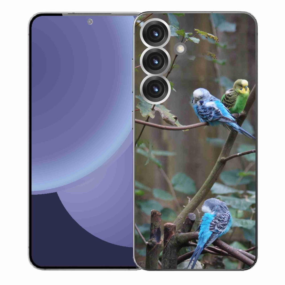 Zselés borítás mmCase Samsung Galaxy S25+ készülékhez - papagájok az ágon