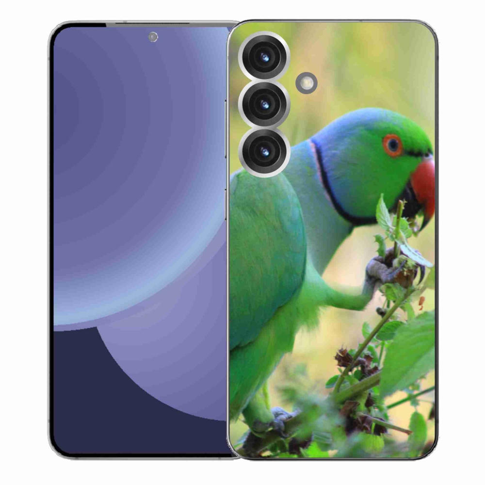 Zselés borítás mmCase Samsung Galaxy S25+ készülékhez - papagáj alexandr