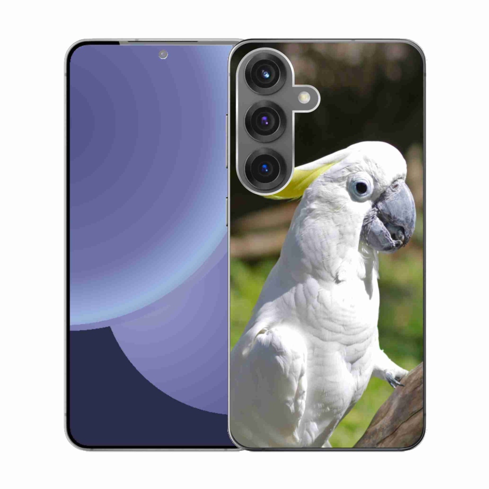 Gél borítás mmCase Samsung Galaxy S25 készülékhez - papagáj kakadu 2