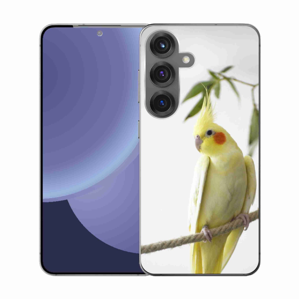Gél borító mmCase Samsung Galaxy S25 - papagáj korela chocholatá