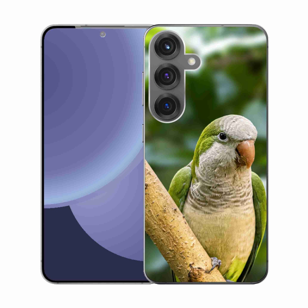 Zselés borítás mmCase Samsung Galaxy S25 készülékhez - papagáj