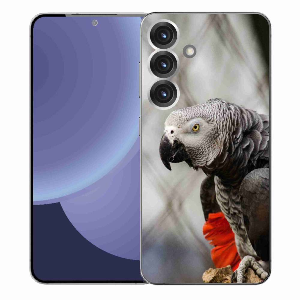 Gél borítás mmCase Samsung Galaxy S25+ készülékhez - papagáj jacko 3