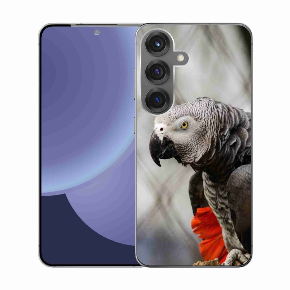 Zselés borítás mmCase Samsung Galaxy S25 készülékhez - papagáj jacko 3