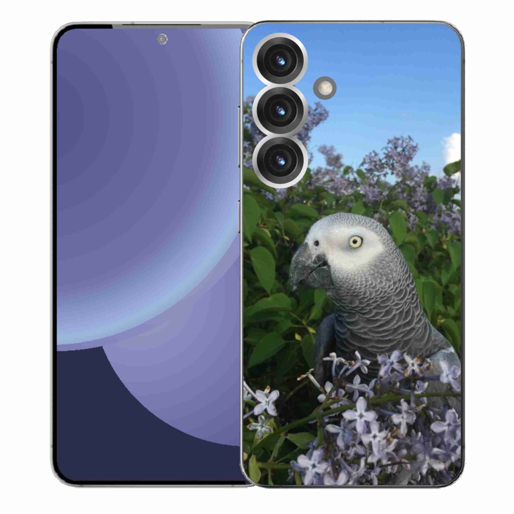 Gél borítás mmCase Samsung Galaxy S25+ készülékhez - papagáj jacco