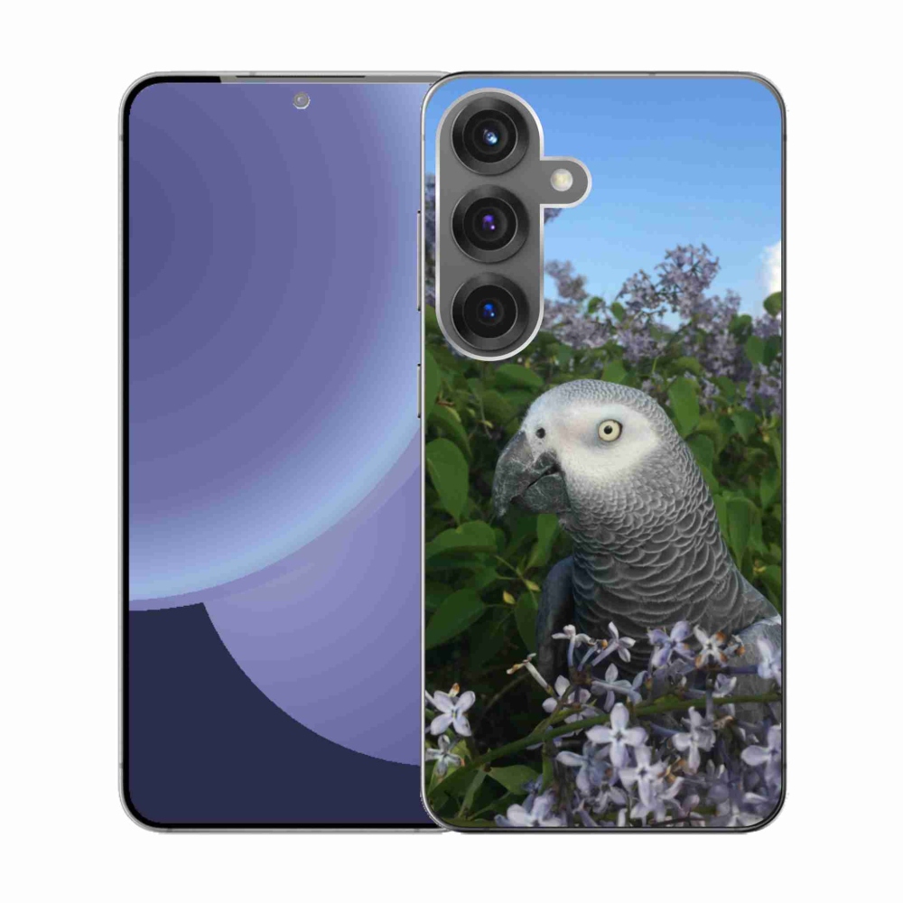 Gél borítás mmCase Samsung Galaxy S25 készülékhez - papagáj jacco
