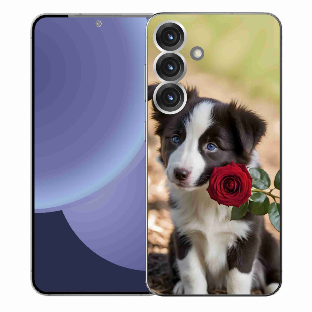 Gél borítás mmCase Samsung Galaxy S25+ készülékhez - aranyos border collie rózsával