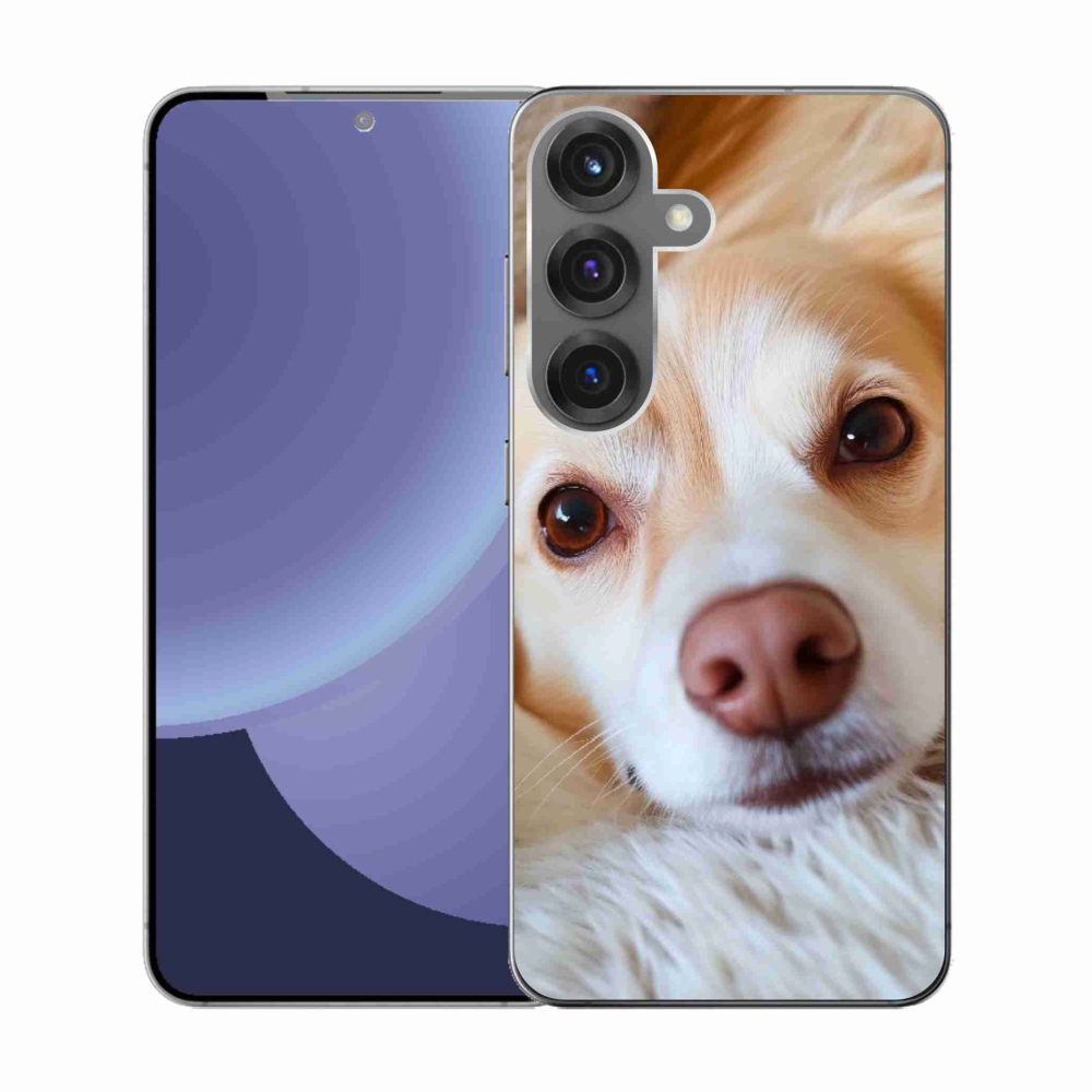 Gél borítás mmCase Samsung Galaxy S25 készülékhez - Aranyos csivava