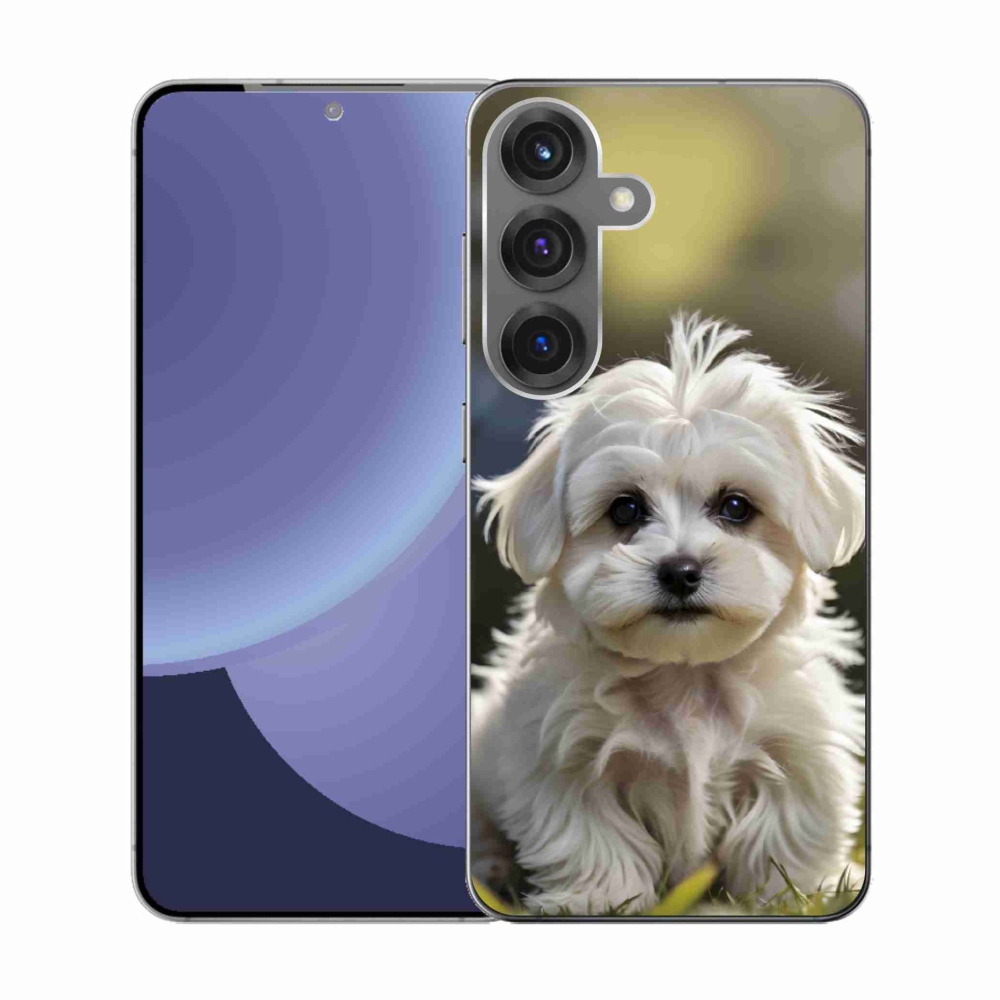 Gél borítás mmCase Samsung Galaxy S25 készülékhez - aranyos máltai kutya