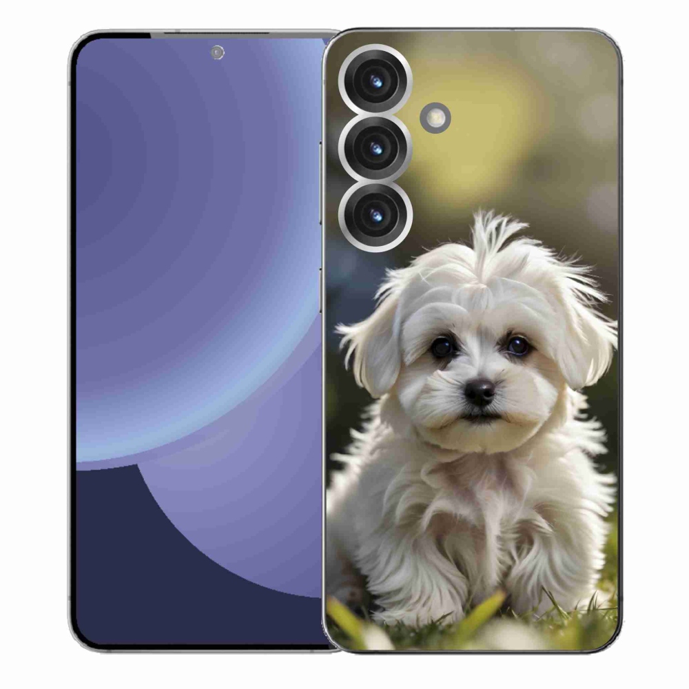 Gél borítás mmCase Samsung Galaxy S25+ készülékhez - aranyos máltai kutya