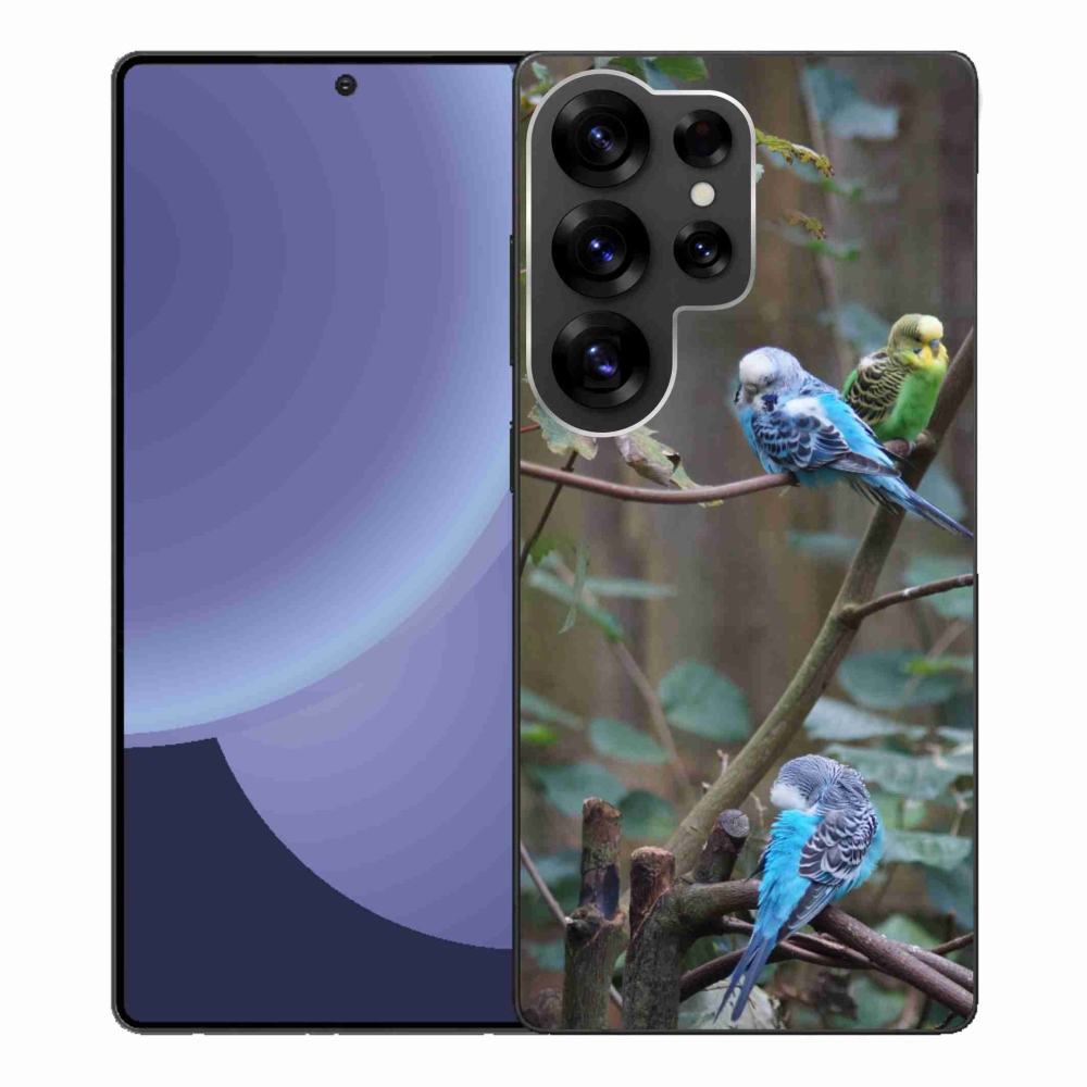 Zselés borítás mmCase Samsung Galaxy S25 Ultra készülékhez - papagájok az ágon