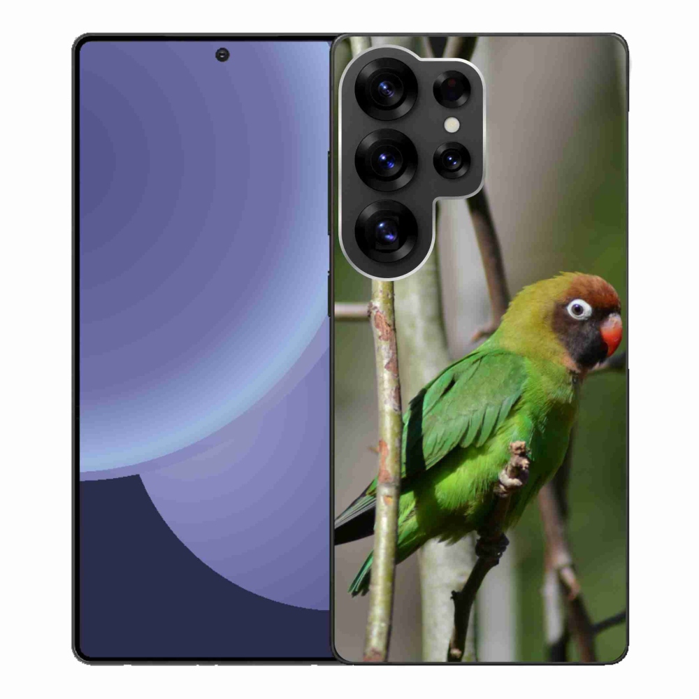 Gél borítás mmCase Samsung Galaxy S25 Ultra - papagáj agapornis