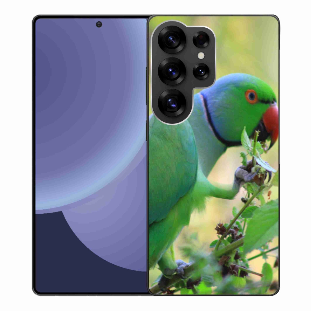 Gél borítás mmCase Samsung Galaxy S25 Ultra készülékhez - papagáj alexandr