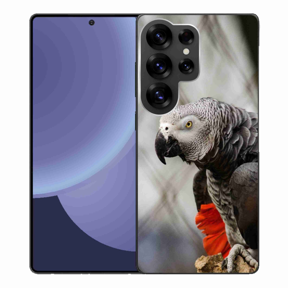 Gél borítás mmCase Samsung Galaxy S25 Ultra készülékhez - papagáj jacco 3